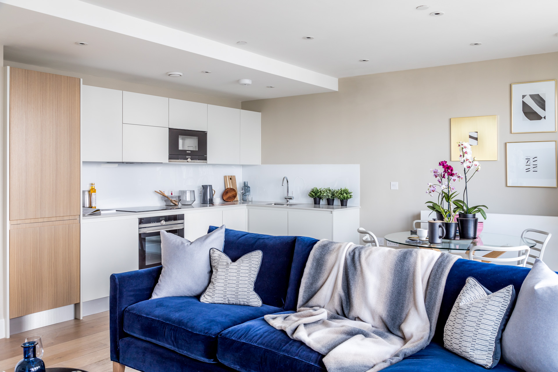 modern open-plan kitchen and dining room with contrasting wood door, blue sofa and scatter cushions